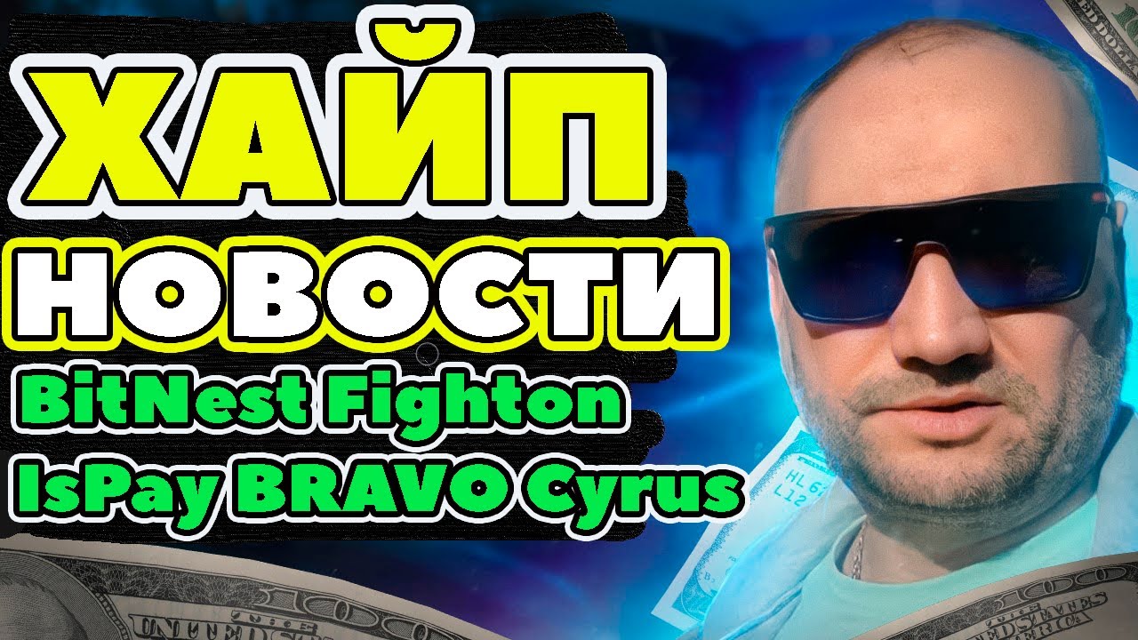 Хайп Новости BitNest, IsPay, Fighton скам, старт Bravo, Cyrus Finance обзор отзывы Хайп Проекты
