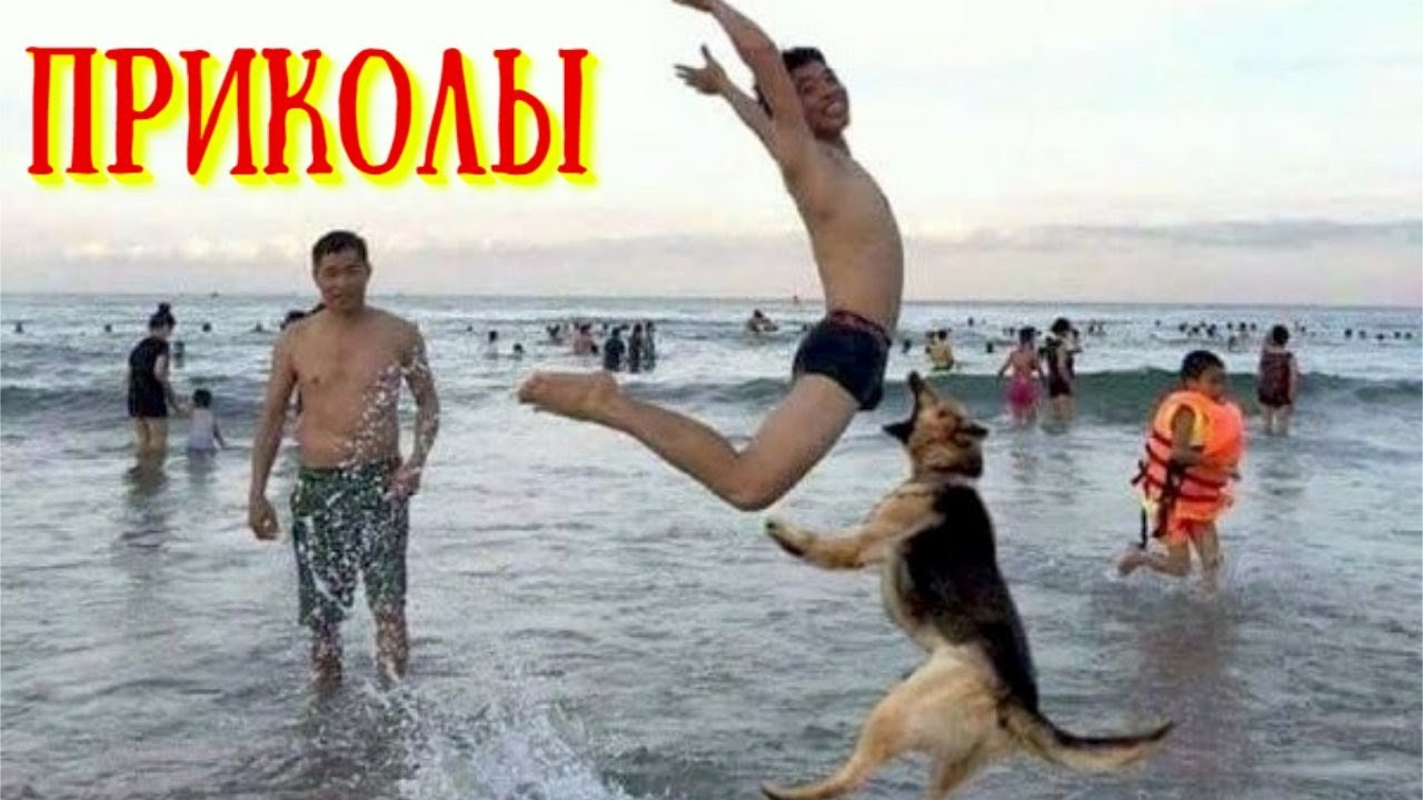 Я РЖАЛ ДО СЛЕЗ 😂 24 Минуты ОТБОРНЫХ Русских приколов ИЮНЬ 2024 Смешные видео - Лучшие ПРИКОЛЫ #47