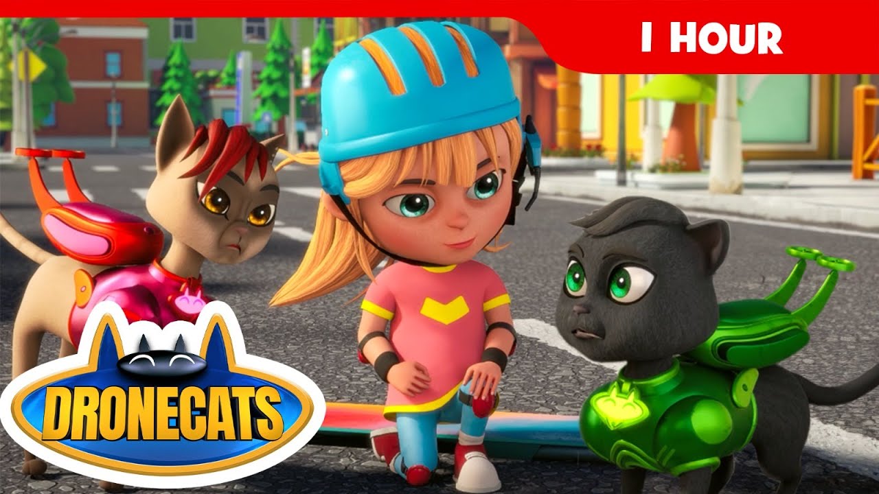Drone Cats Compilation 🎬 Opposite Day & More Funny Cat Adventures! I One Hour