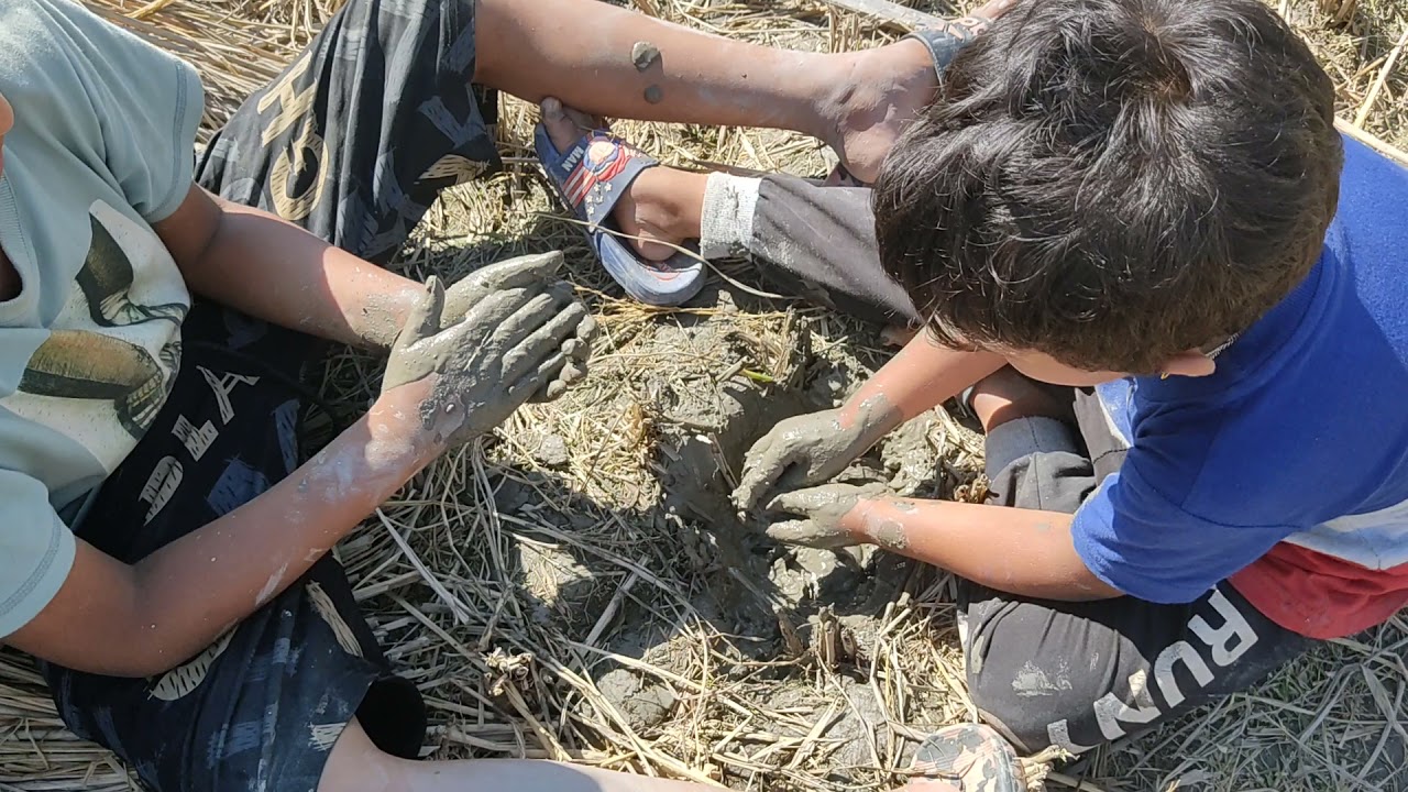 muddy boys