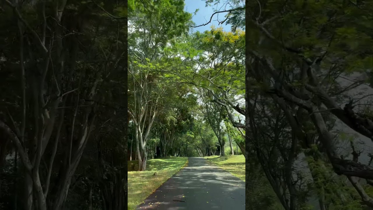 Bowatenna Reservoir, Naula, Sri Lanka #music #nature #relaxing #srilankatravelvlog #relaxingmusic
