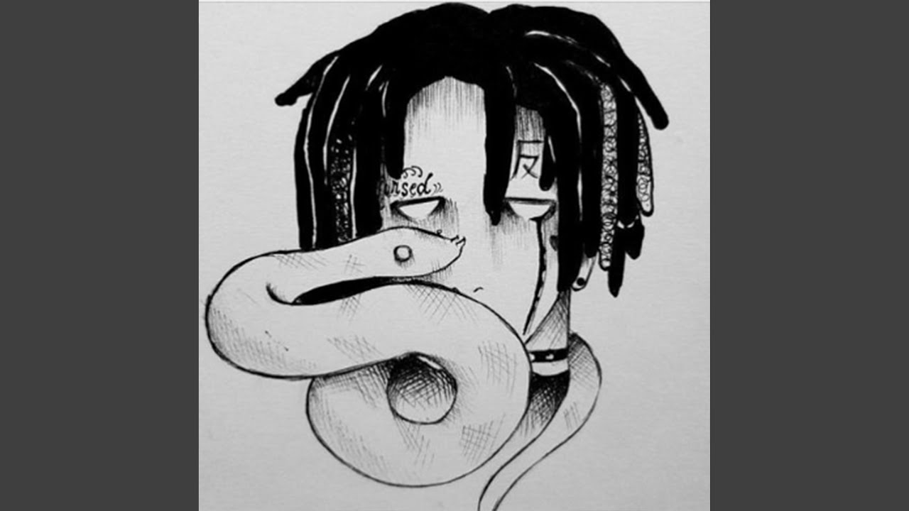 NEVER TRUST