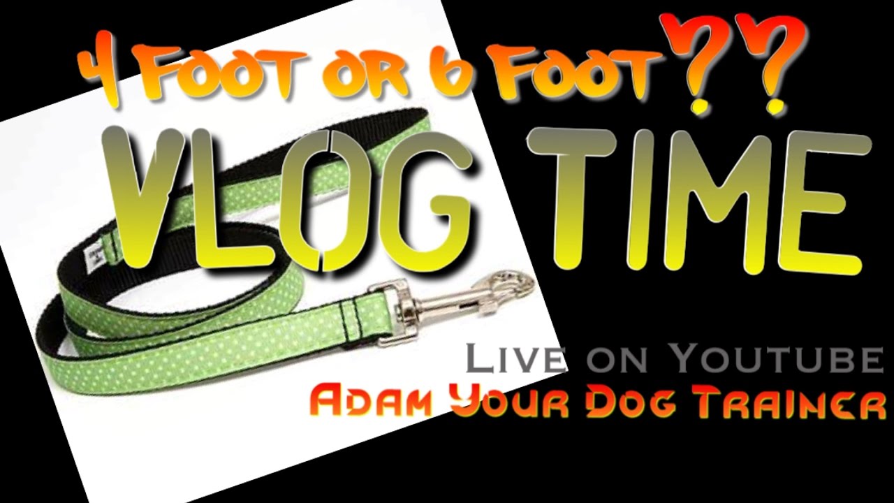 4 FOOT VS 6 FOOT LEASH