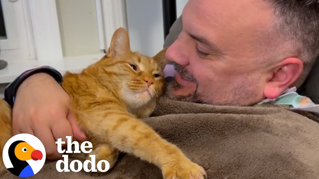 Cat Opens The Bathroom Door To Get To Dad | The Dodo