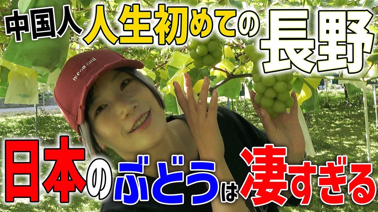 【中国人】人生初めての長野県を大満喫！日本のぶどう凄すぎる...@Kay & ZooKatsu