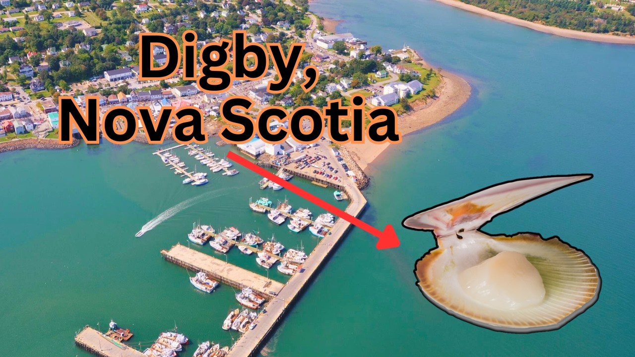 Pirates To Scallops: The Fascinating History of Digby, Nova Scotia!