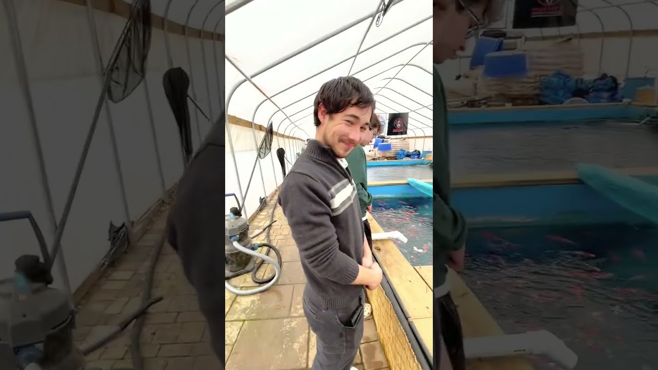 Prime at the Koi Farm! | 