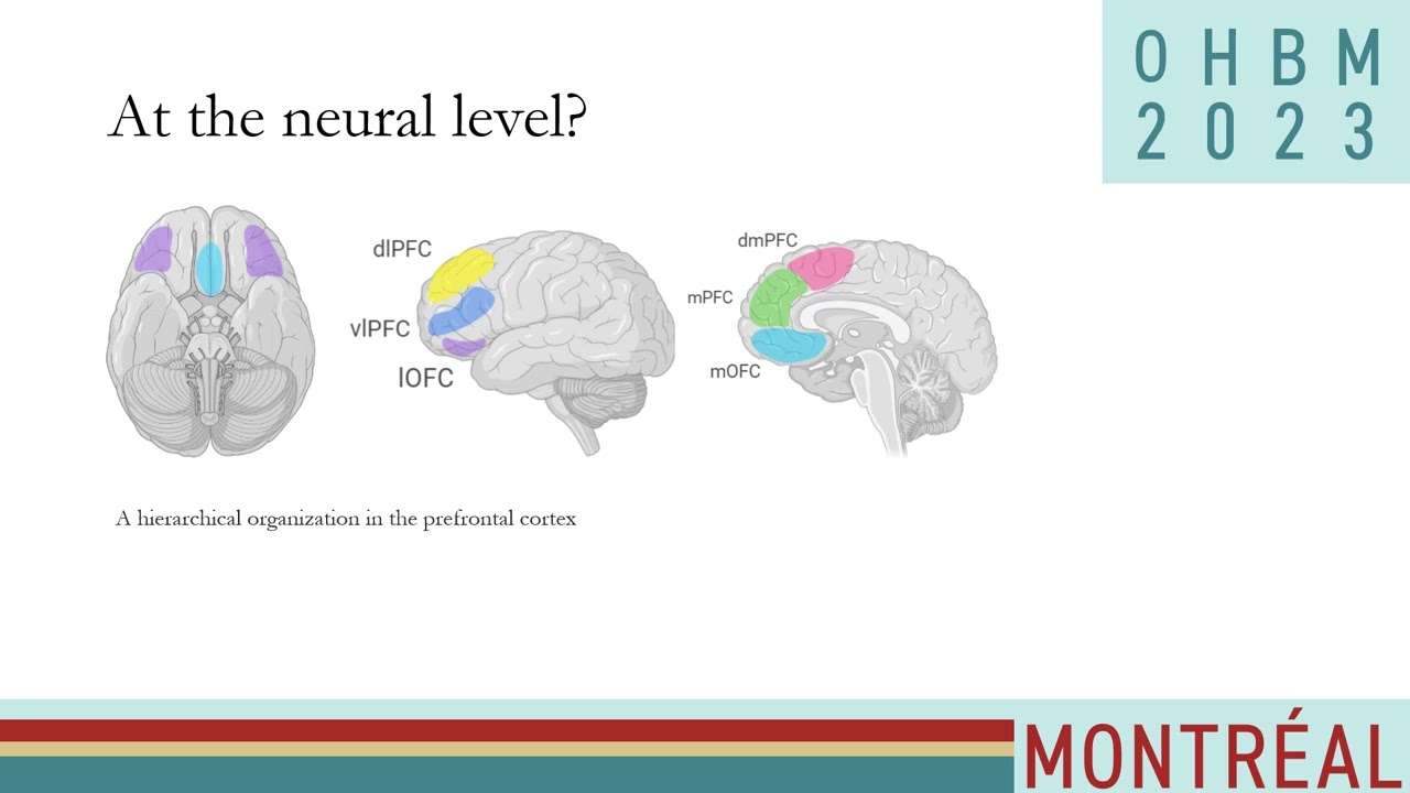 OHBM 2023 | 3102 | Talk | Gargi Majumdar | Aging Disrupts Prefrontal Code for Emotions…