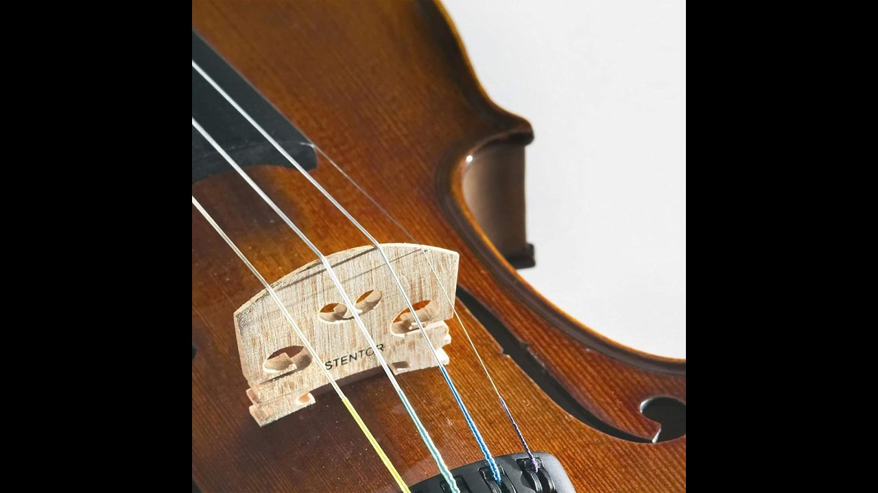 Review: Stentor 1500 4/4 Violin – Full Size Student Violin Hands-On