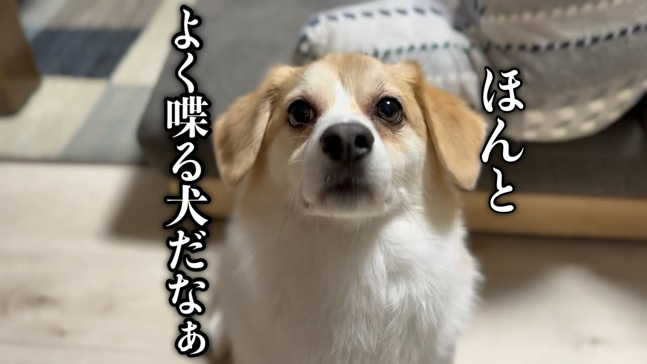 嫌がられてるけど、承知の上！笑