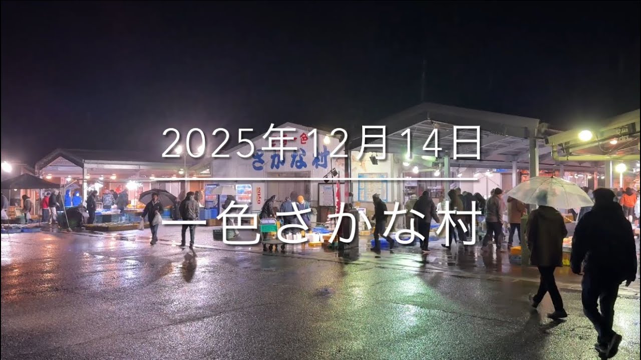 【価格破壊】一色うなぎの価格が大幅下落⁉︎【歴代最安値】『一色さかな村』