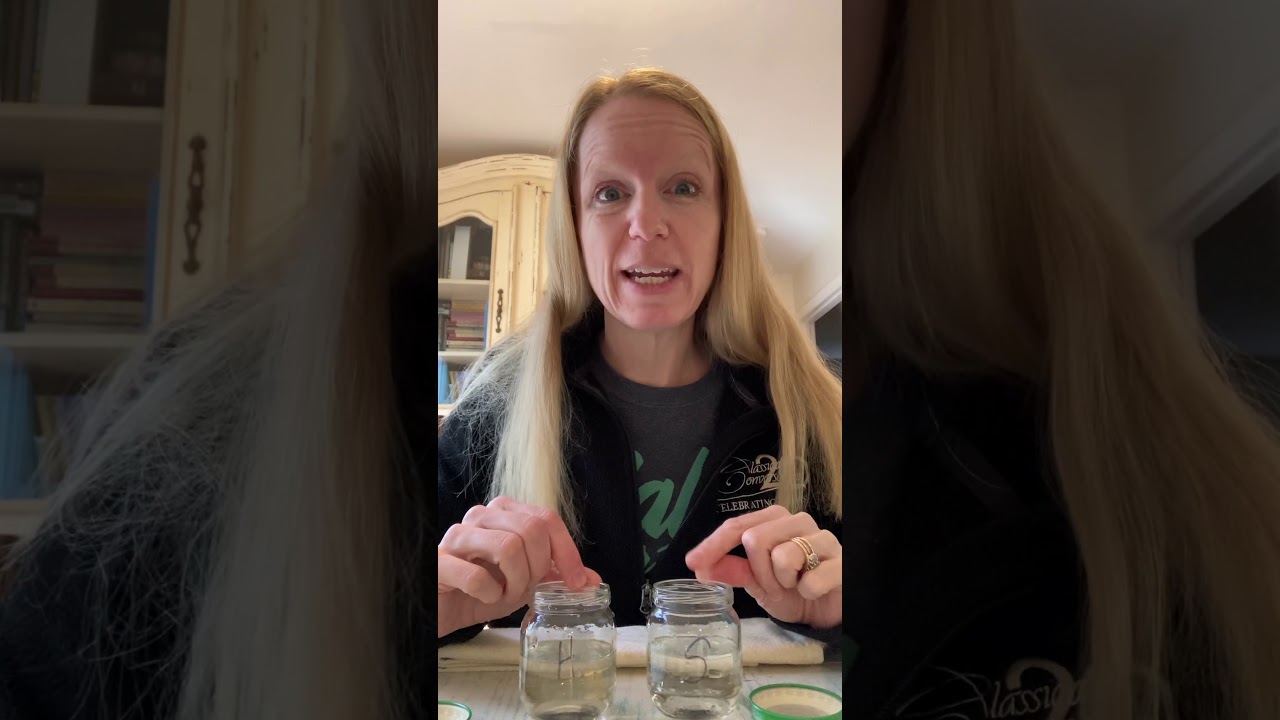 Classical Conversations Cycle 3 Week 18 Science Experiment