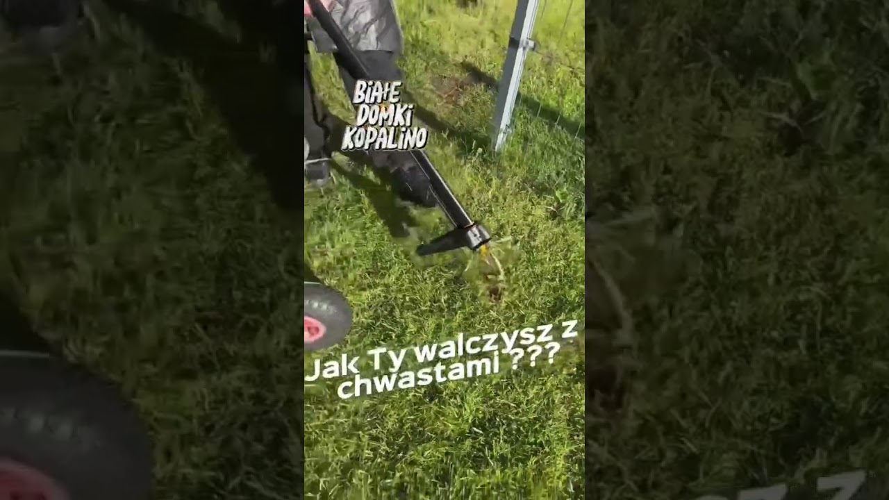 Najlepszy sposób na chwasty. 