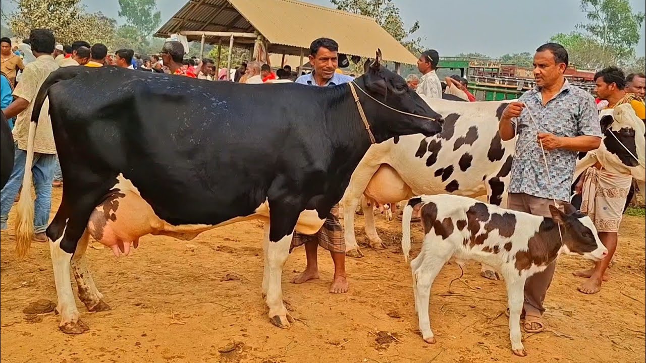 @আজ ৯ মার্চ
