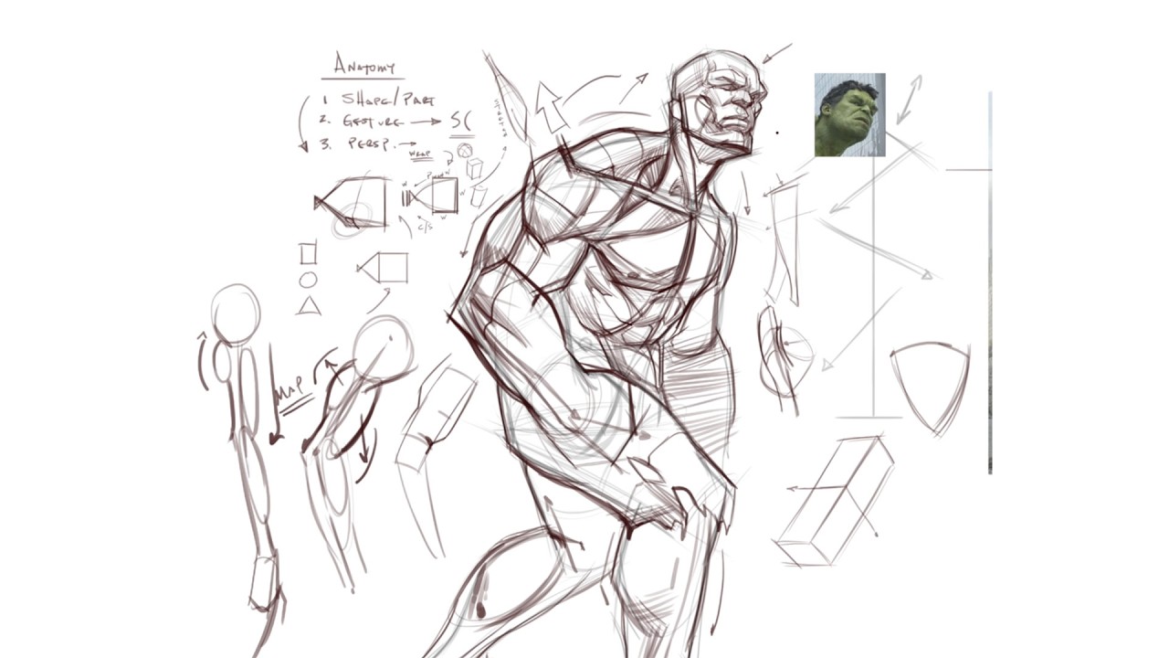 Why Anatomy Is Easier than you Think