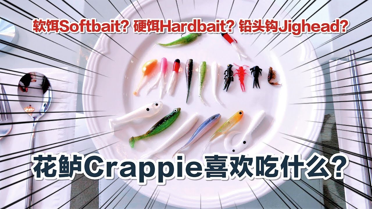 【花鲈用饵Crappie Baits】花鲈最喜欢吃什么: 软饵？硬饵？铅头钩？What is Crappie's Favorite Rig? Jighead? Softbait? Hardbait?