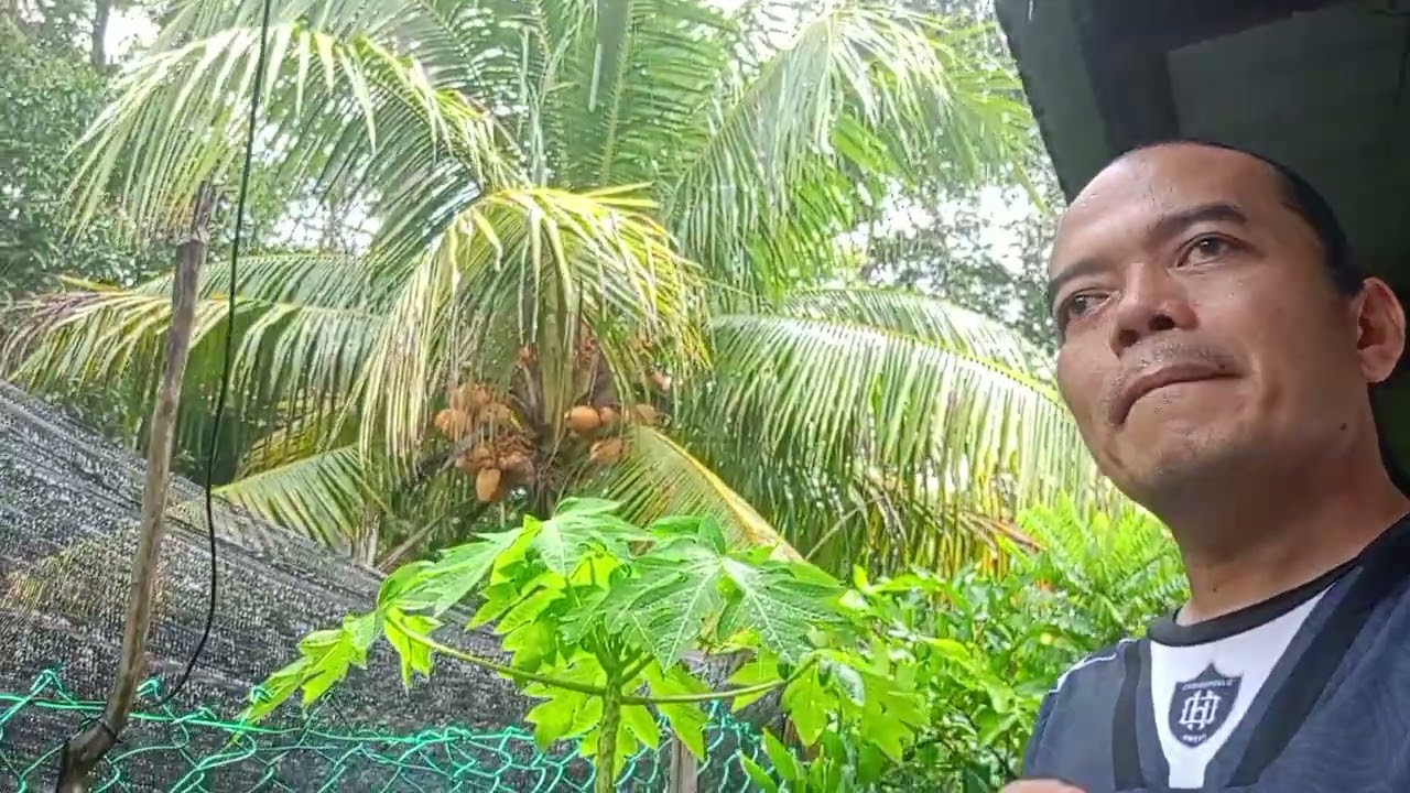 SUASANA DLAM HUJANAN 💦 GUYS VLOG RAMADHAN KAREEM KE 27  SELASA 17/3/2026 @lanselamanya8077