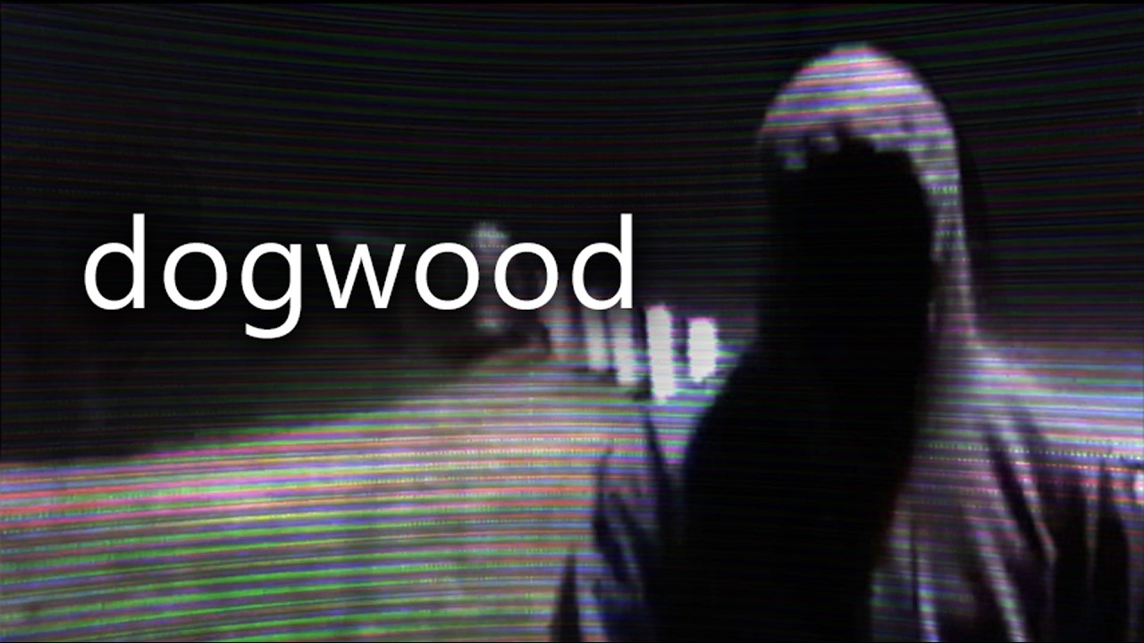 Dogwood: A Found Footage Vlog Mystery