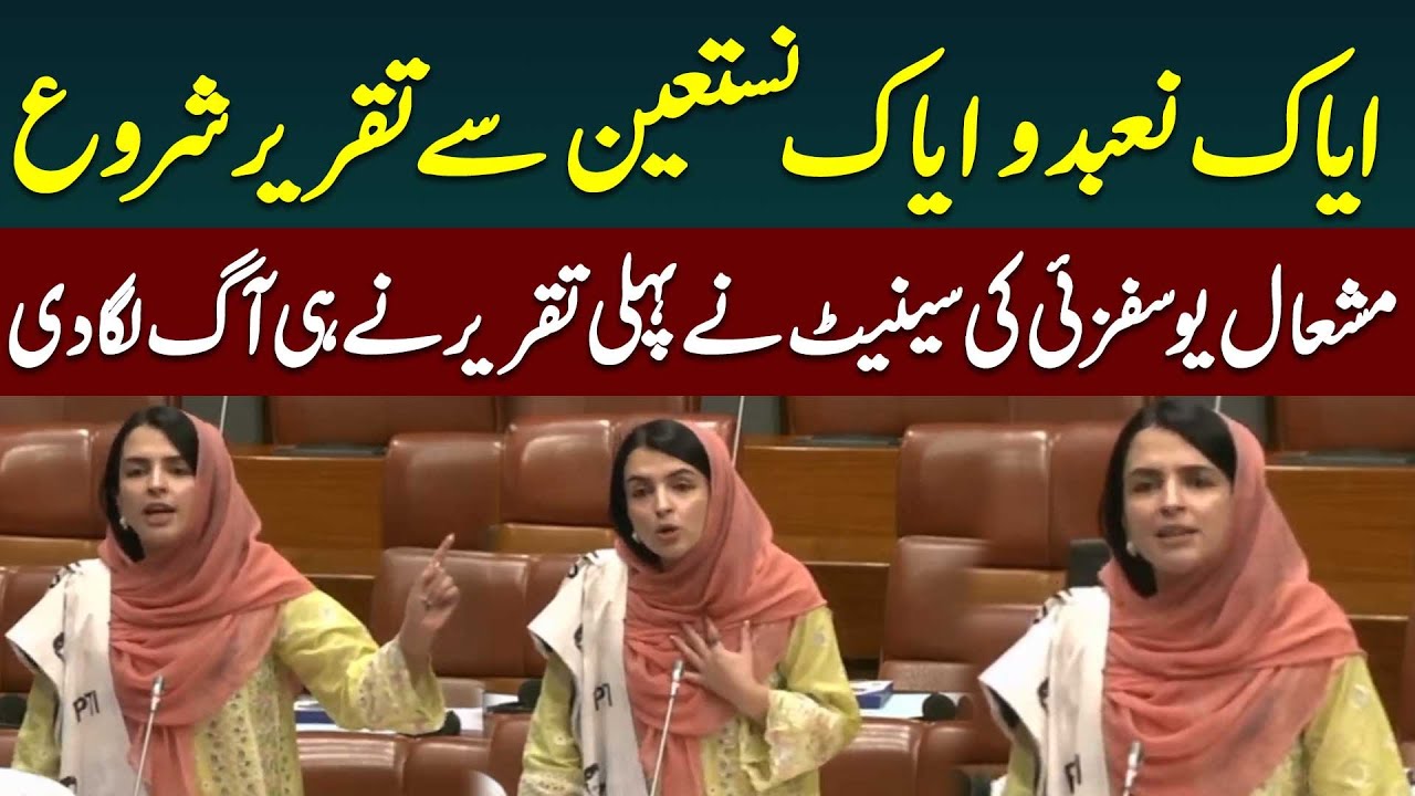Mashal Yousafzai Shakes Senate | Starts Speech with Quran Verse | Public News