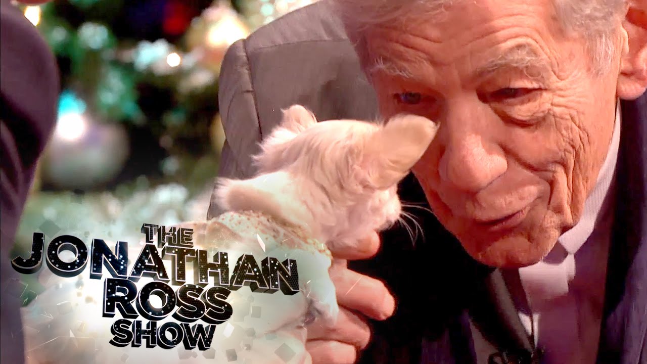 Sir Ian McKellen Meets Chihuahua Puppy | The Jonathan Ross Show