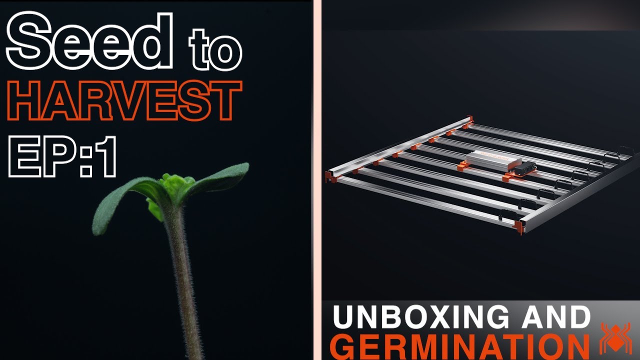 Seed to Harvest w/Timelapse - Spider Farmer G5000