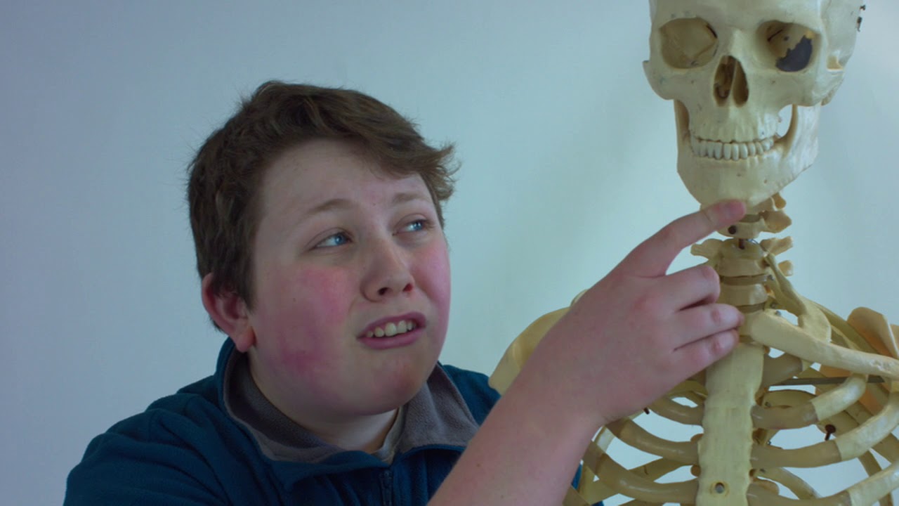 High Storrs LOVES LATIN  - one school's fight to keep Classics alive