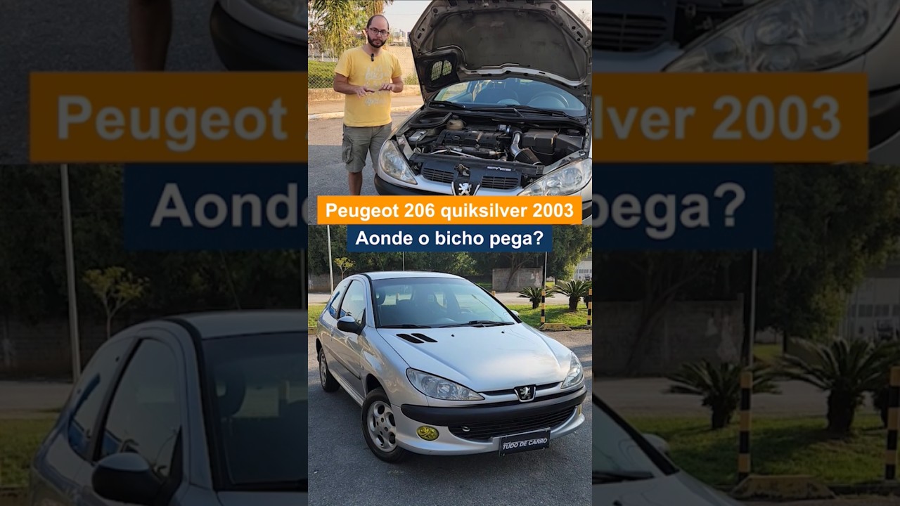 Motoriza&ccedil;&atilde;o do Peugeot 206 1.6 16v - manuten&ccedil;&atilde;o e problemas cr&ocirc;nicos