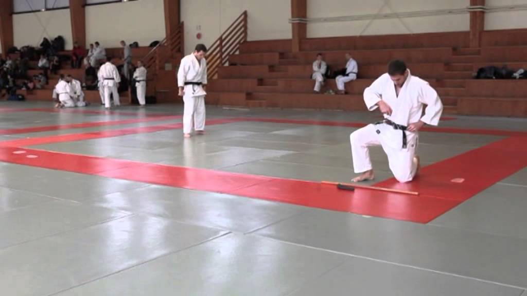 Thomas CAILLARD - 3ème Dan - Judo