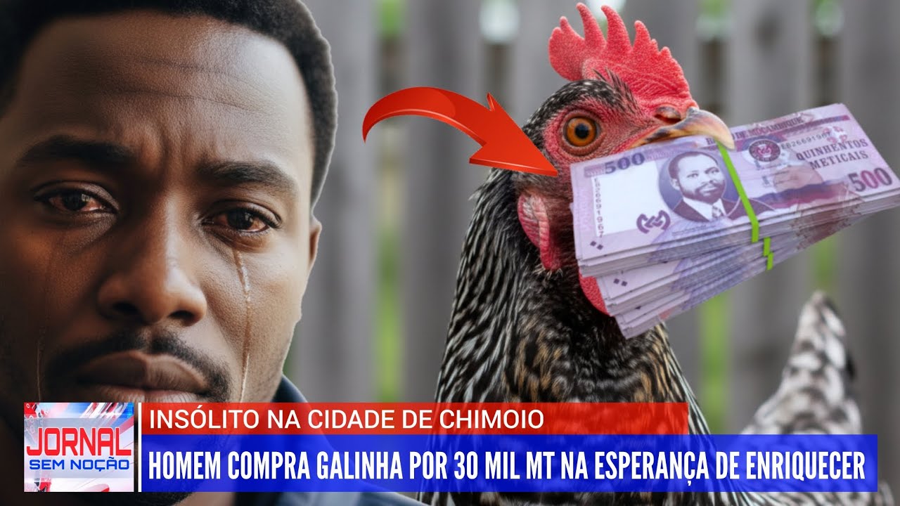 HOMEM COMPRA GALINHA POR 30 MIL MT NA ESPERANÇA DE ENRIQUECER  EM CHIMOIO