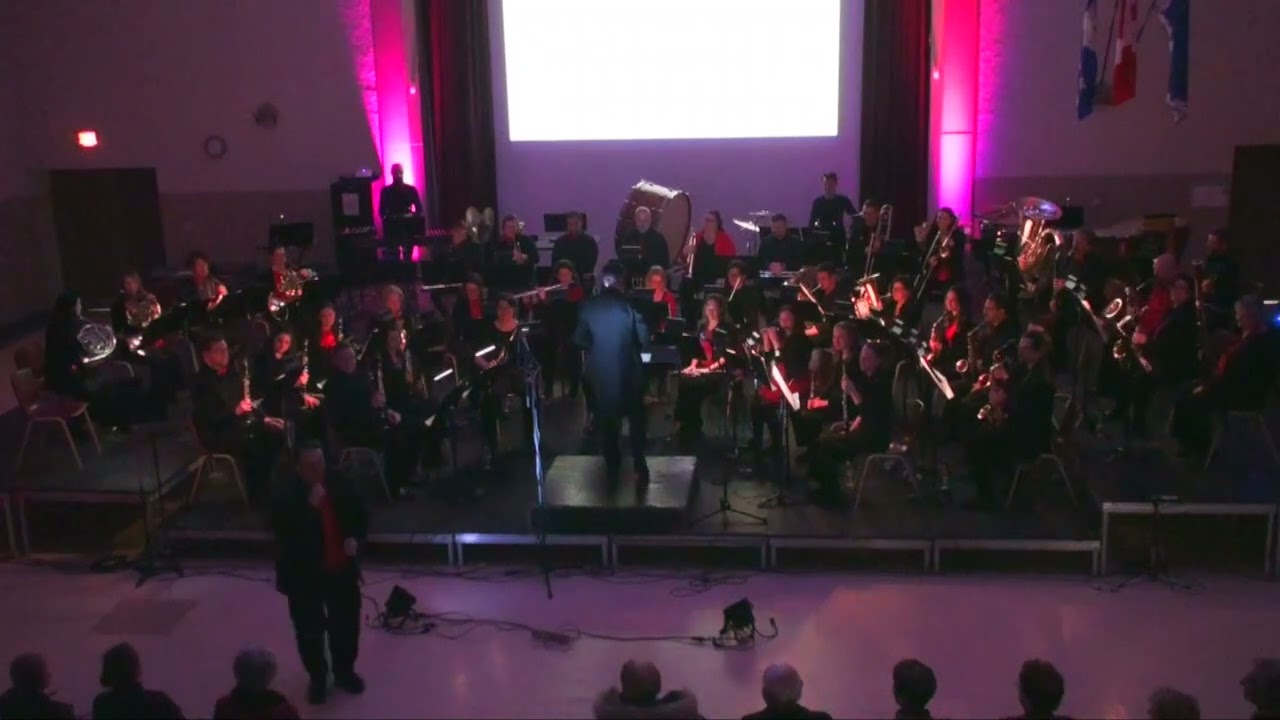 HDC - The Lonely Duck