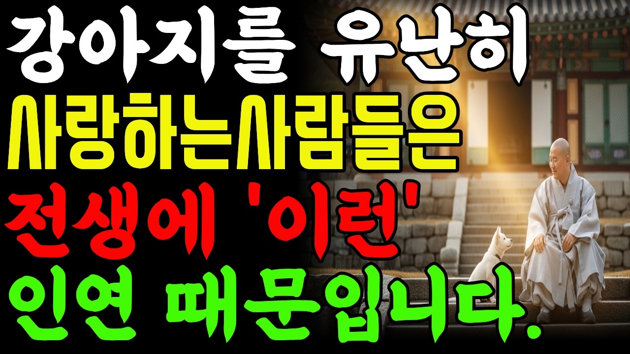 강아지를 유난히 사랑하는 사람들의 전생⚠️ 스님이 밝힌 충격적인 인연| 사주풀이 | 금전운 | 철학 |