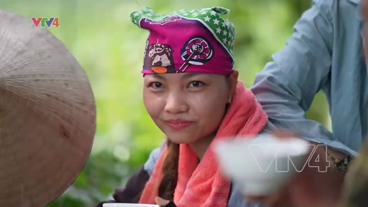 Chuyện nghề chuyện người trồng chè | VTV4