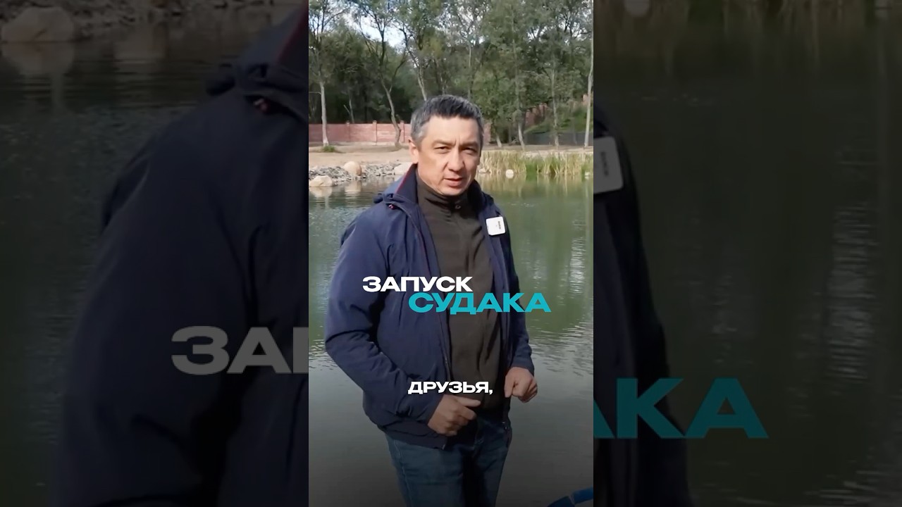 ЗАПУСК СУДАКА в пруд. Зарыбляем пруд рыбой #рыбалка #рыба #судак