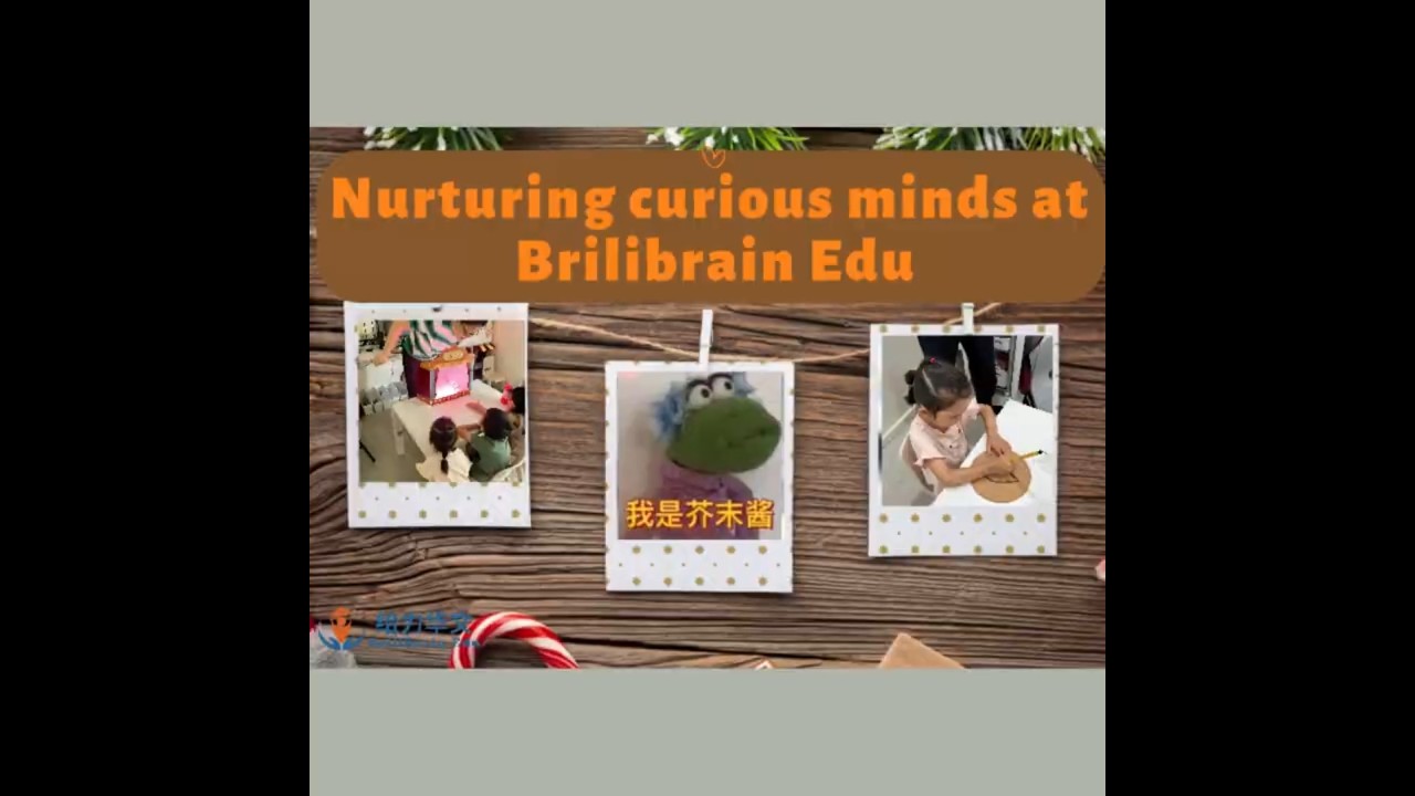 Unlocking Potential, One Child at a Time: The Brilibrain Edu Difference