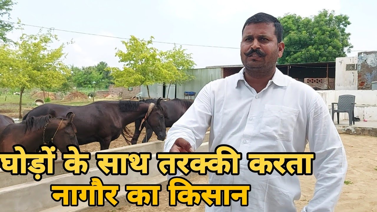 2 साल पहले की शुरूआत आज 18-20 घोड़ो के मालिक