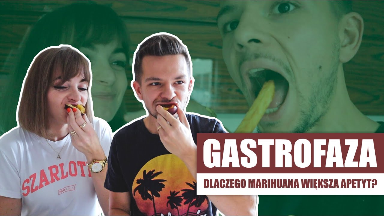 💚 GASTROFAZA (PACMAN) 🍔 DLACZEGO MARIHUANA ZWIĘKSZA APETYT? 🌯 JAK ŻRYĆ? 🥞
