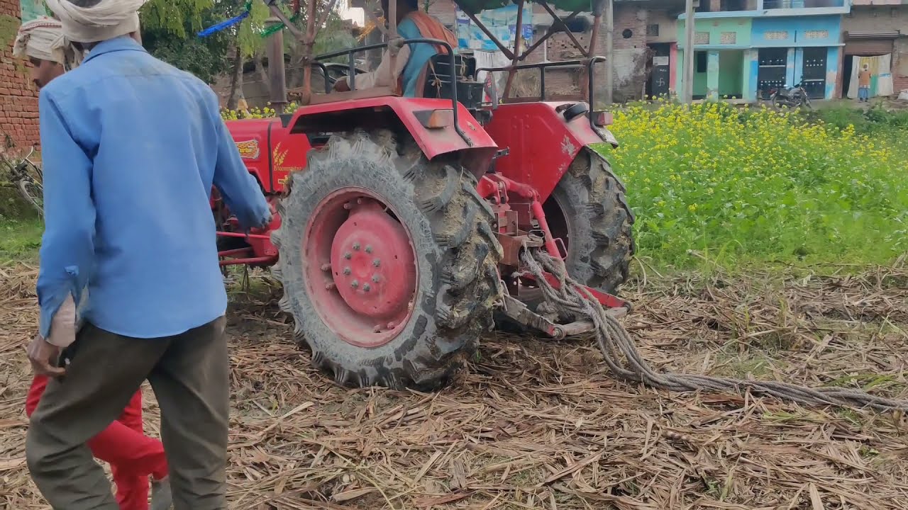 Village Life | Uttar Pradesh | Village Winter | Rural  Normal Winter #ruralindia #uttarpradesh