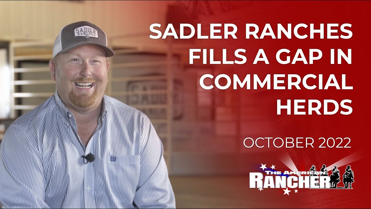 Sadler Ranches заполняет пробел в коммерческом скотоводстве | The American Rancher