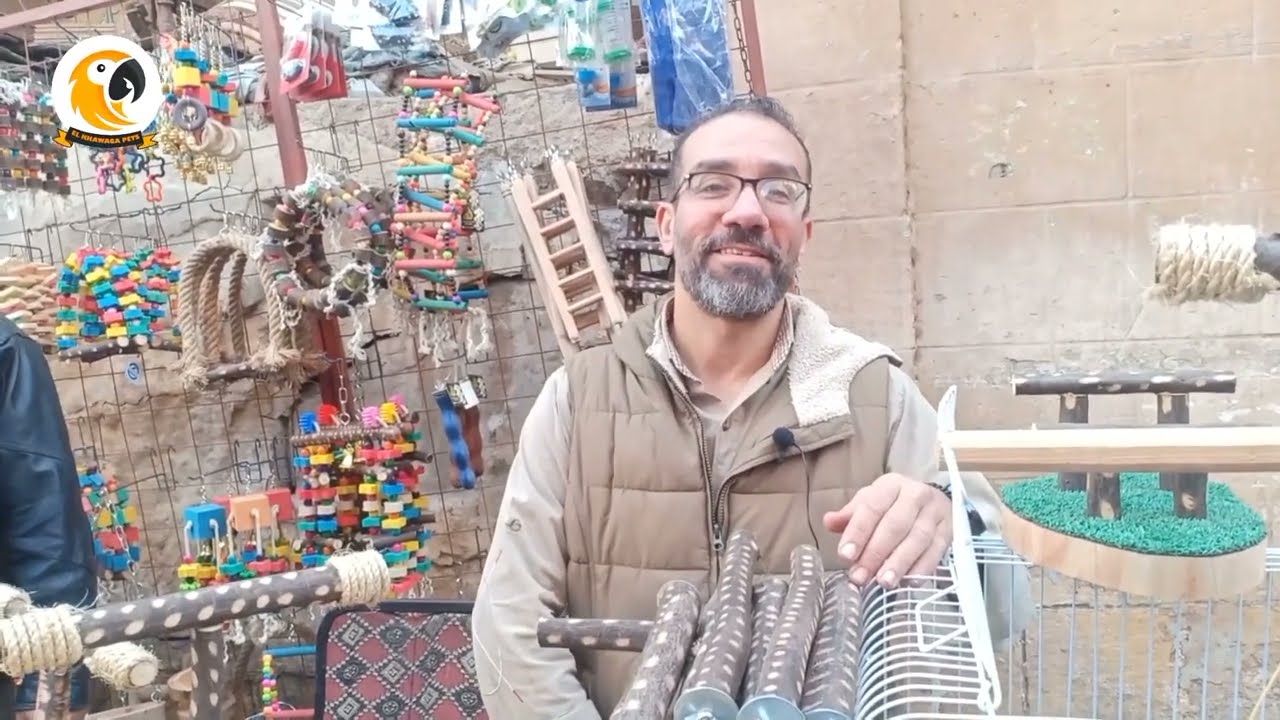 افضل عروض  السنه الجديده من عند يوسف الغاوي  لجميع اكسسوارات الببغاوات
