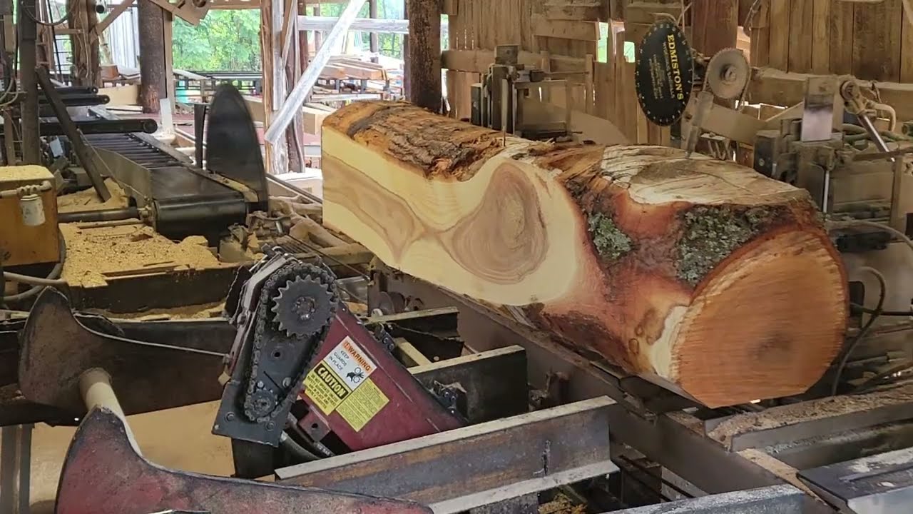 Red oak tie sawing #209