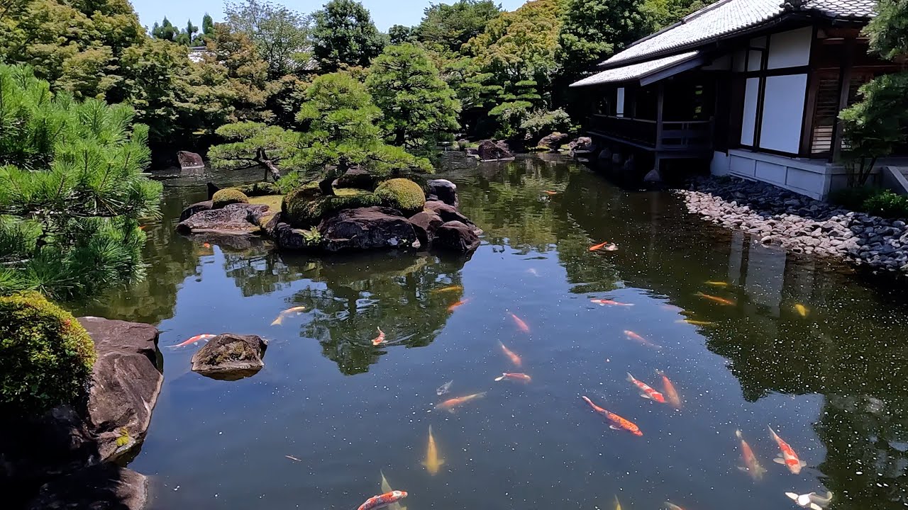 Koko en Garden, Full Walking Tour – Himeji, Japan – 4K