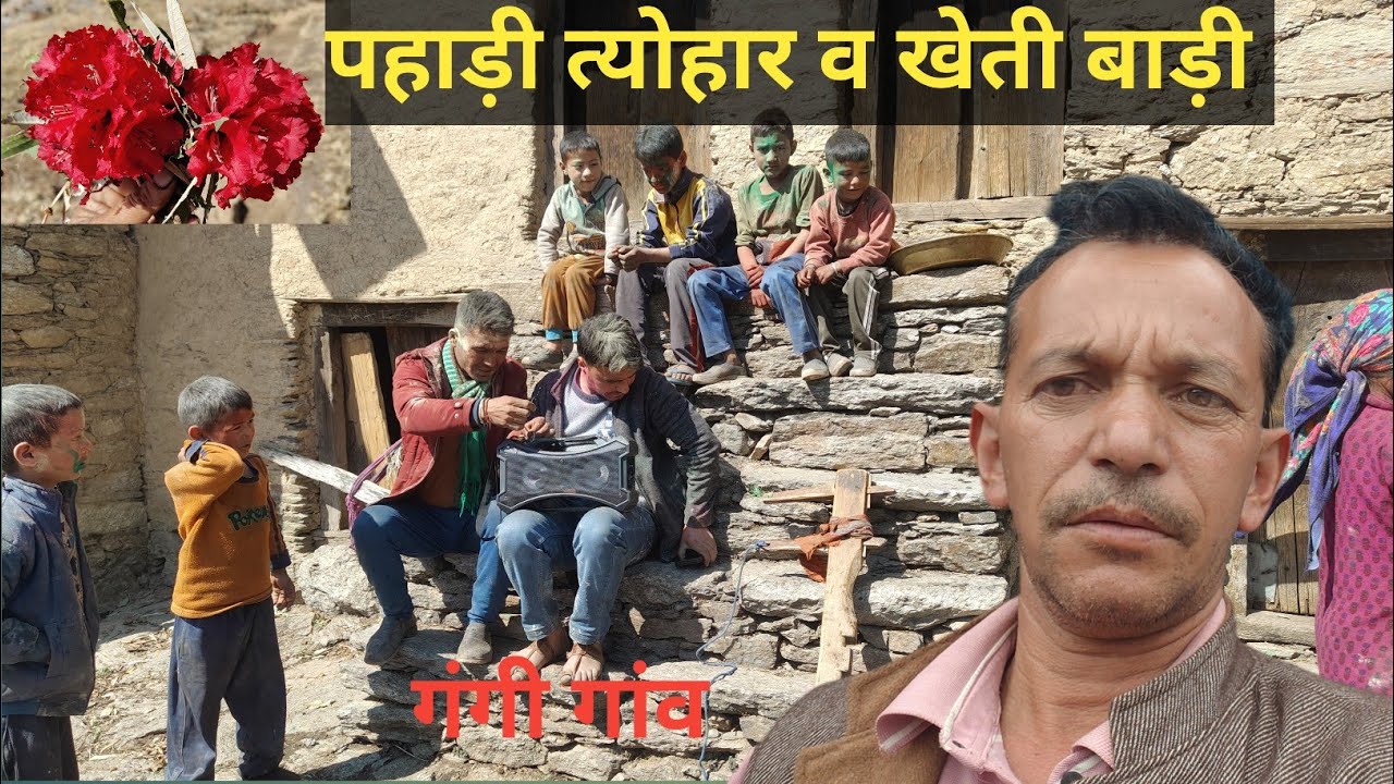 गंगी गांव के प्रसिद्ध आलू | खेती बाड़ी || pahadi lifestyle vlog