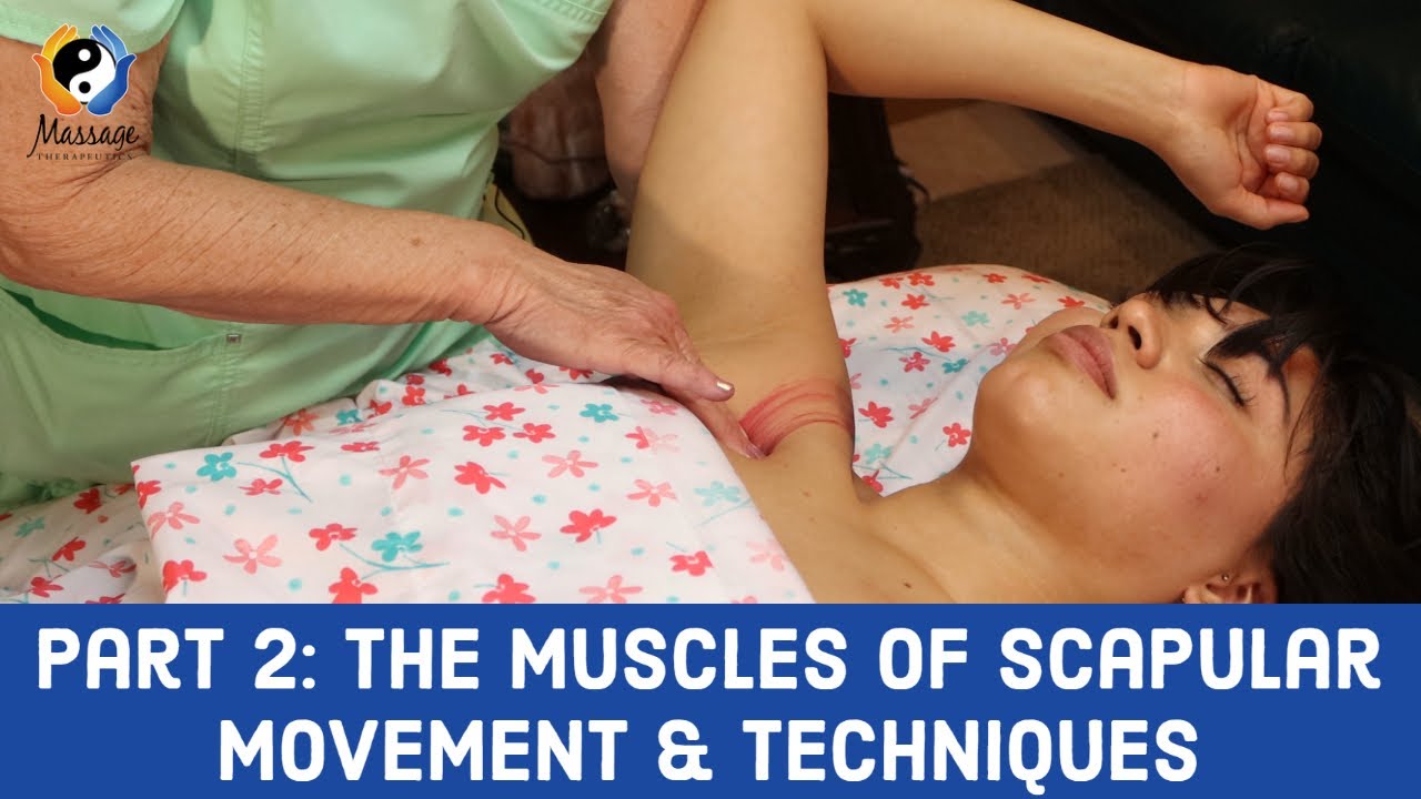 The Muscles of Scapular Movement & Techniques: Part 2