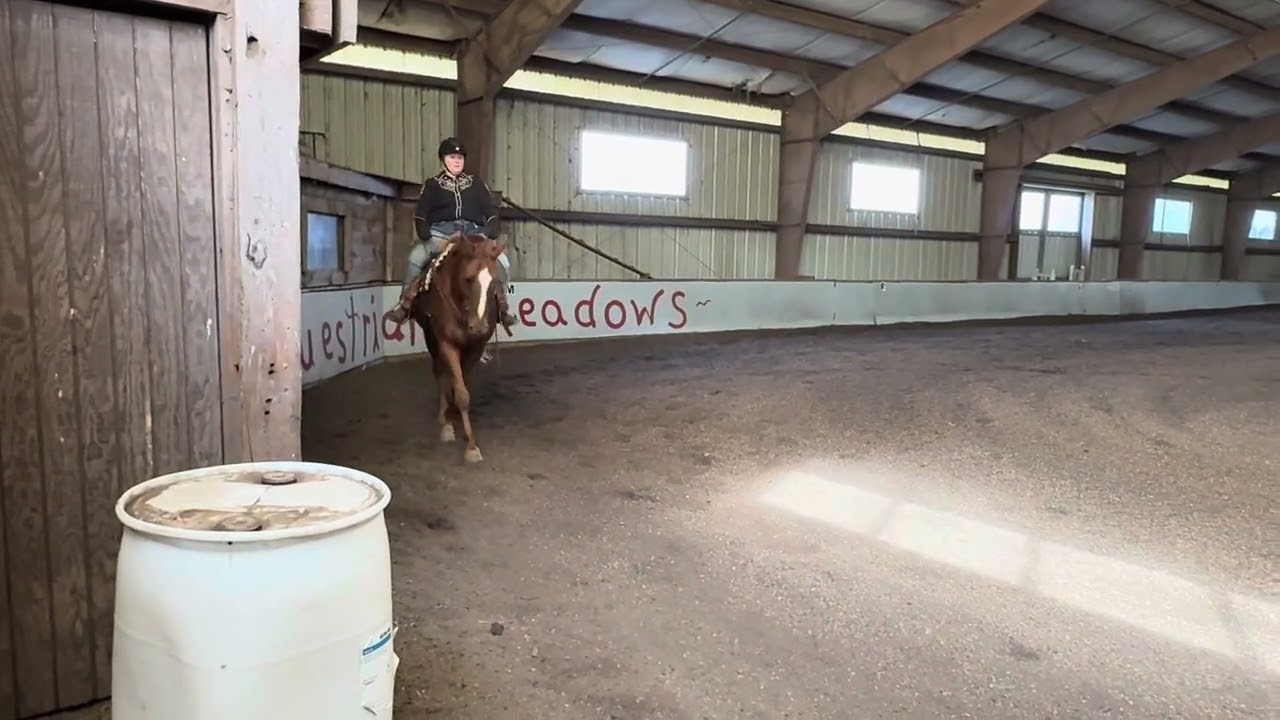 US National Dressage Classic National Finals and Open Show - entry 6153 - introductory level test 4