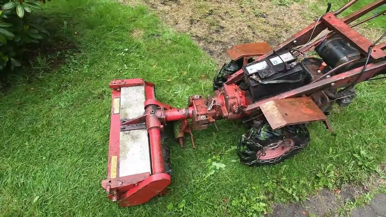 BELOS 272 SKOGSVRAK! Kommer den återuppstå utan en enda krona investerad?!