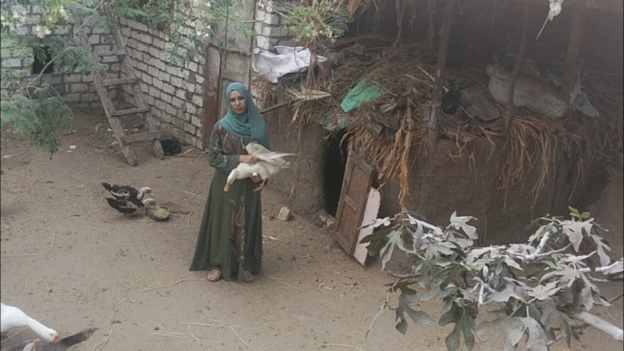 روتين بنت الريف المصرية الي كلها نشاط وحيوية 