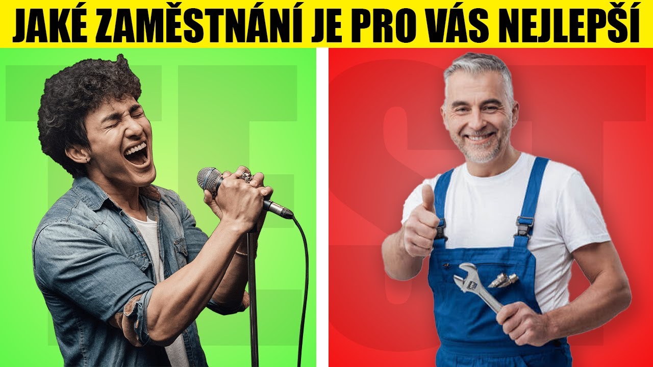 JAK&Eacute; ZAMĚSTN&Aacute;N&Iacute; SE HOD&Iacute; K TV&Eacute; OSOBNOSTI?