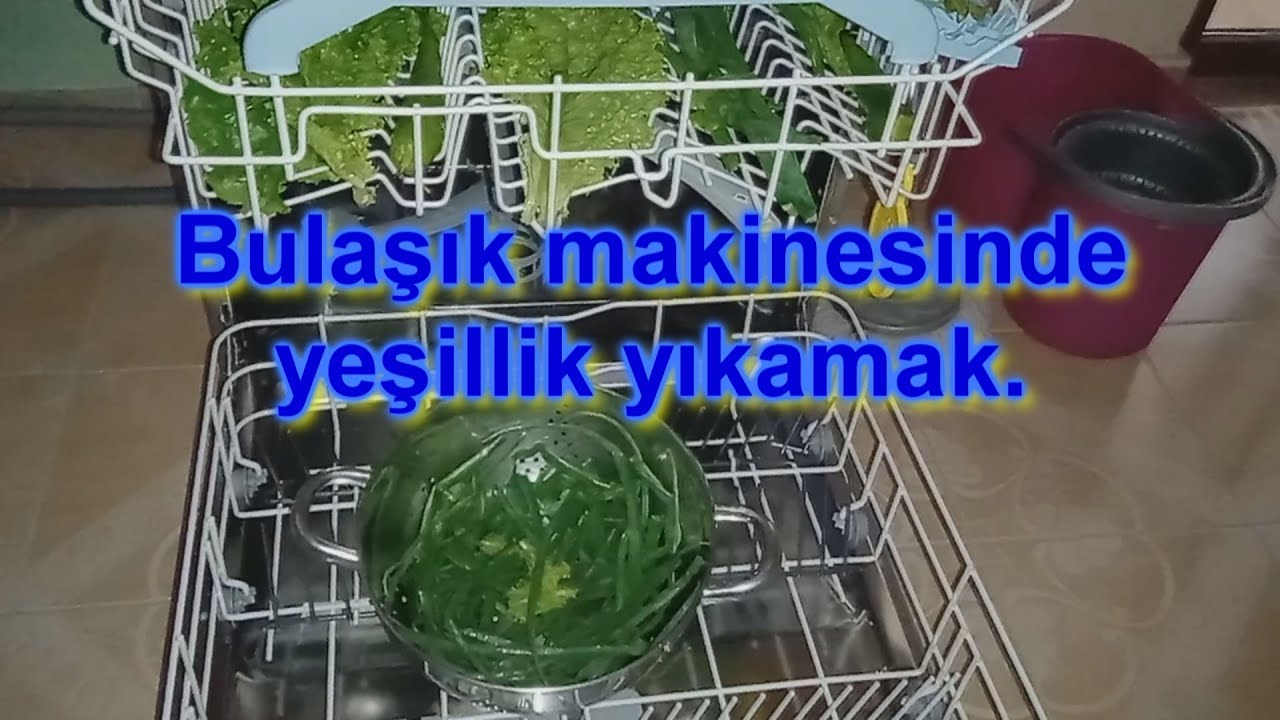 Bulaşık makinesinde yeşillik yıkamak..