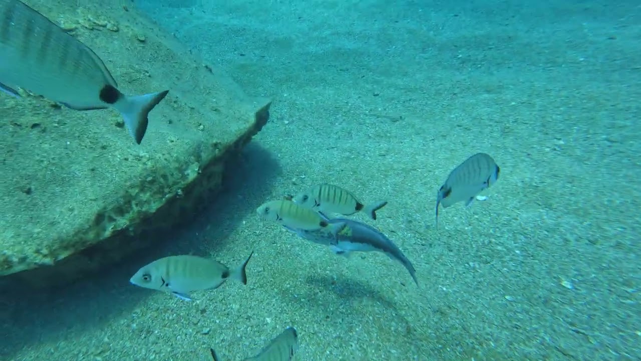 Antalya Side Sualtı Müzesi | Büyüleyici Heykeller (Side Underwater Museum) 