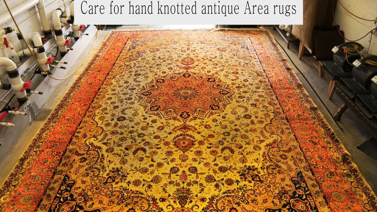 Ask The PetPeePee company-Care for hand knotted antique Area rugs